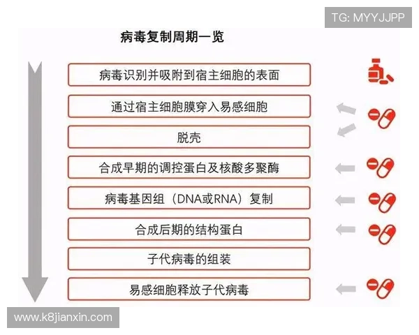 PA亚娱集团的内容制作与发行能力对行业发展的推动作用 PA亚娱集团的内容制作与发行能力对行业发展的推动作用