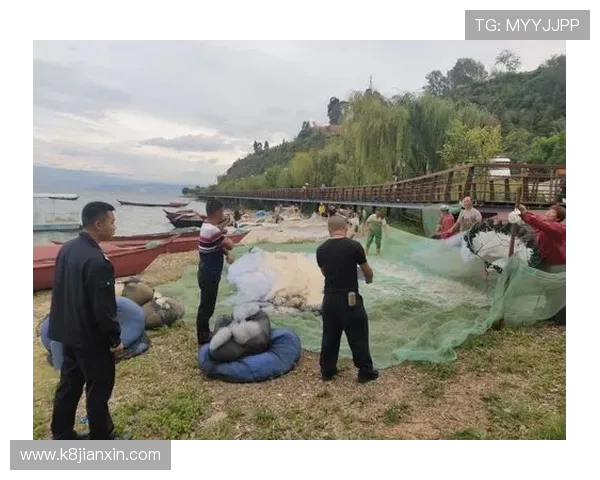 K8捕鱼网的安全保障措施与用户隐私保护全面解析